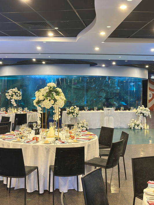 Wedding - Dinning Area