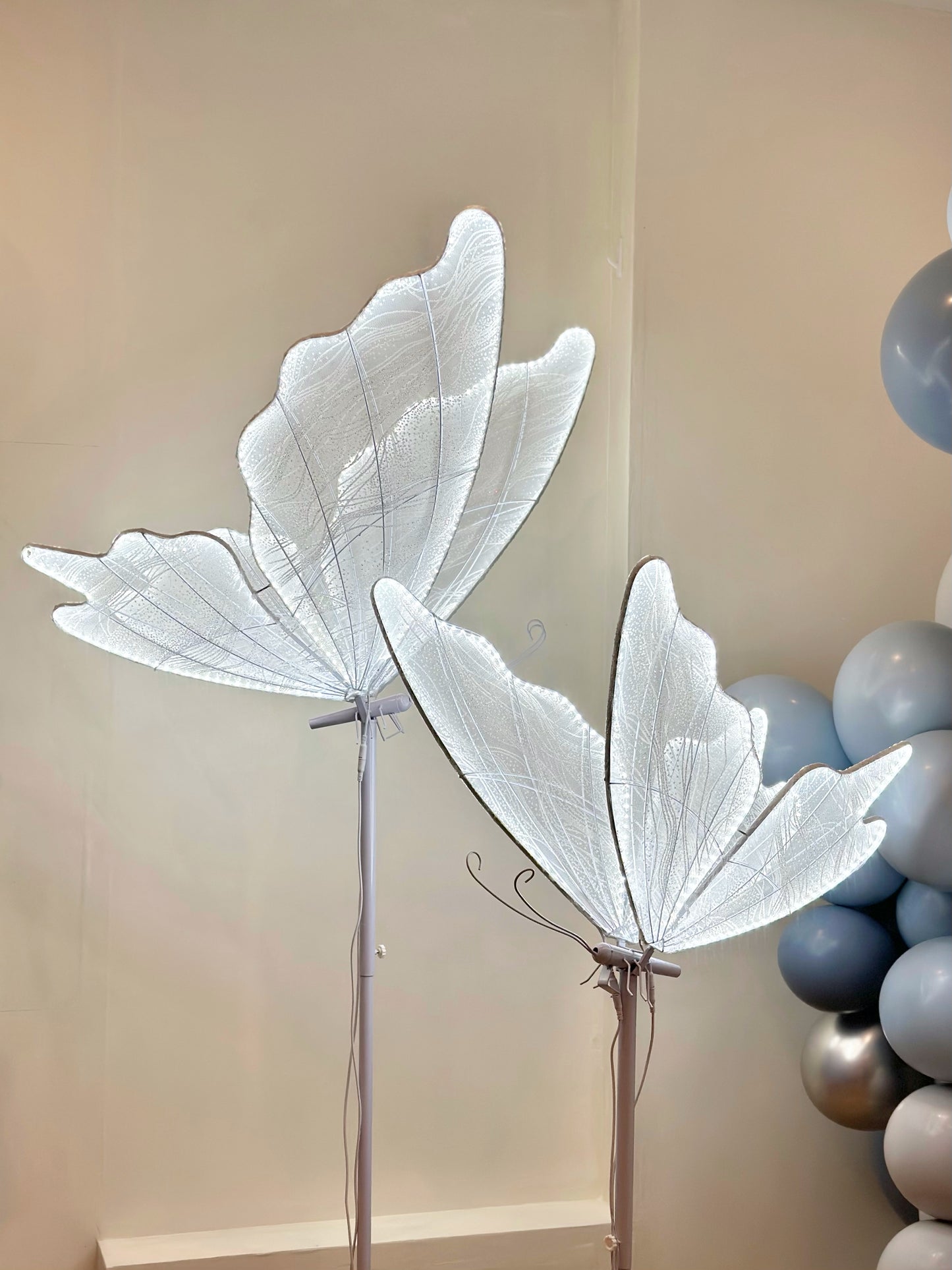 LED Butterfly (For Hire)